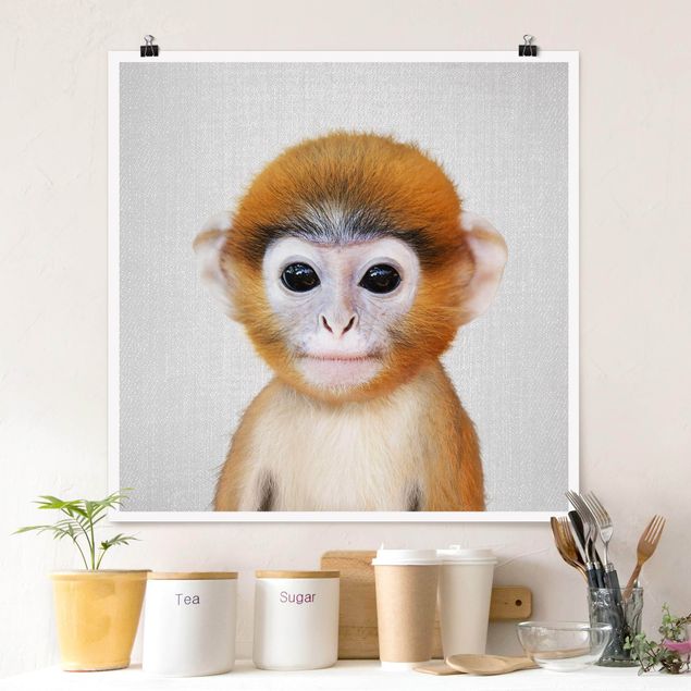 Cuadro monos Baby Monkey Anton