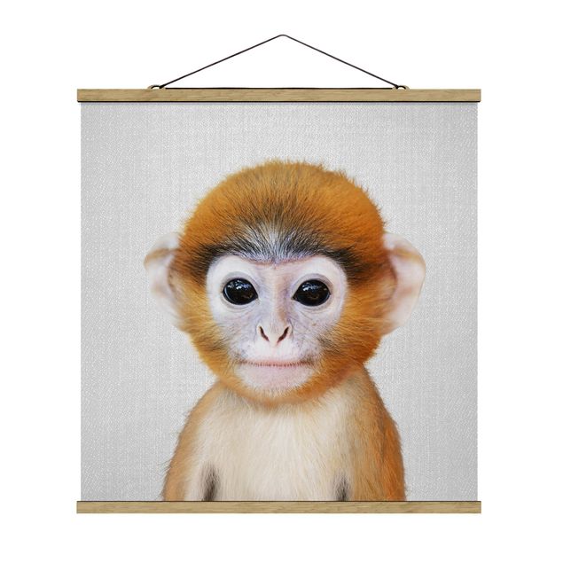 Láminas animales Baby Monkey Anton