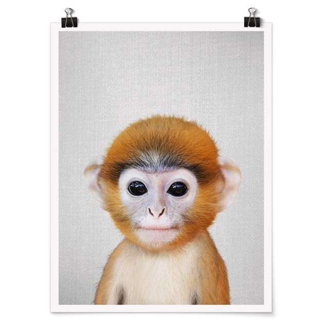 Póster de animales Baby Monkey Anton