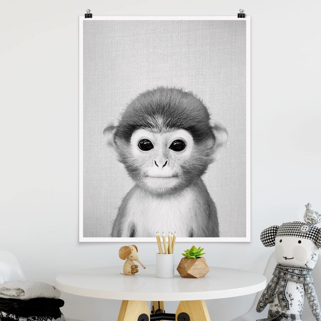 Cuadros de monos Baby Monkey Anton Black And White