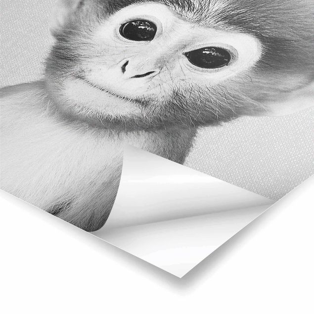 Cuadros de Gal Design Baby Monkey Anton Black And White