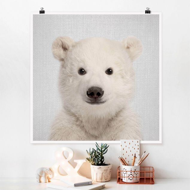 Cuadros de osos Baby Polar Bear Emil