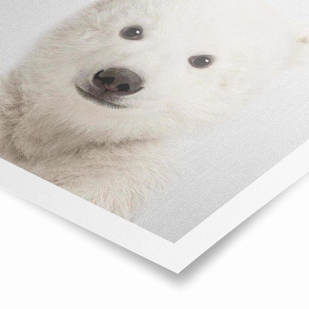 Cuadros modernos Baby Polar Bear Emil