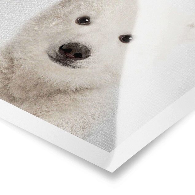 Cuadros a blanco y negro Baby Polar Bear Emil