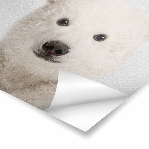 Cuadros de Gal Design Baby Polar Bear Emil