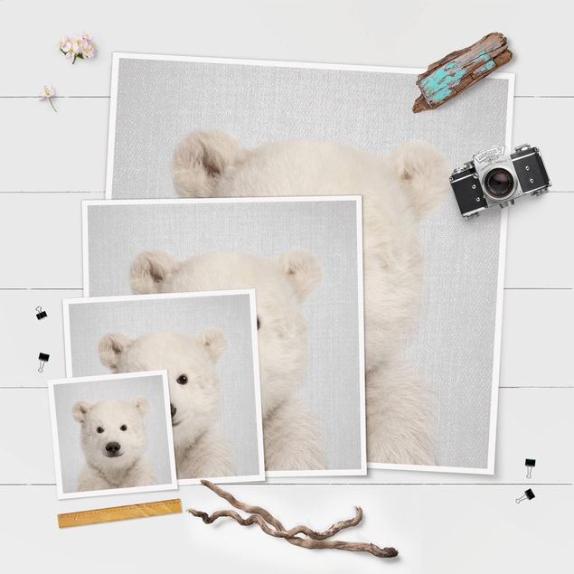 Cuadros Baby Polar Bear Emil
