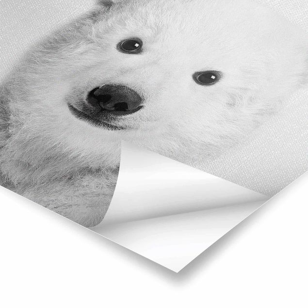 Cuadros de Gal Design Baby Polar Bear Emil Black And White