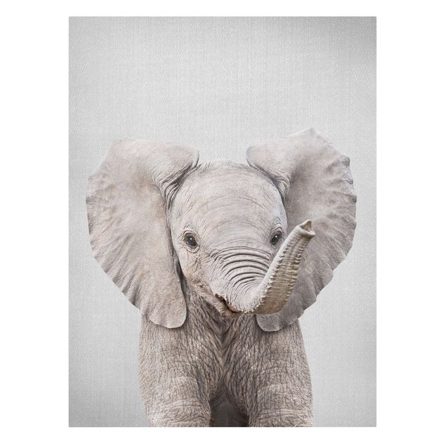 Lienzos de animales Baby Elephant Elsa