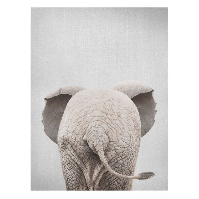 Lienzos animales Baby Elephant From Behind