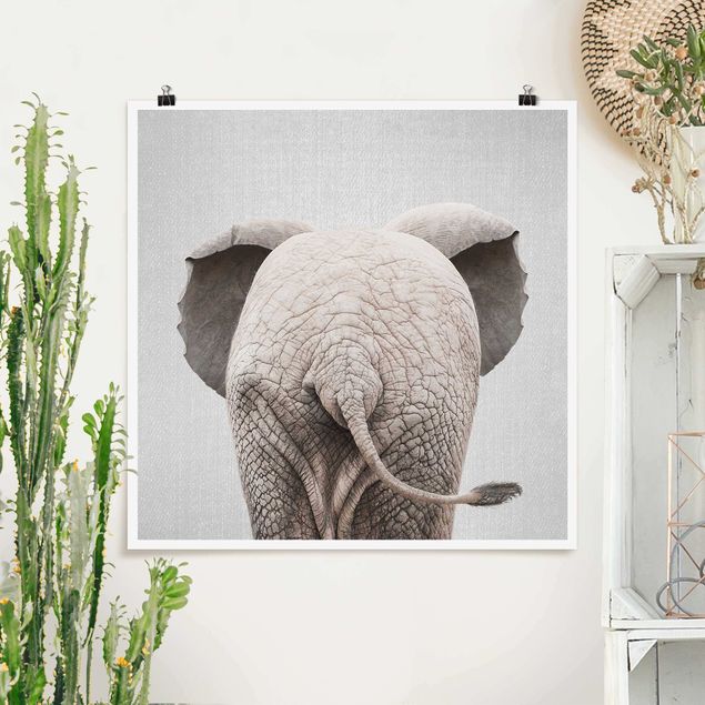 Cuadros elefantes Baby Elephant From Behind