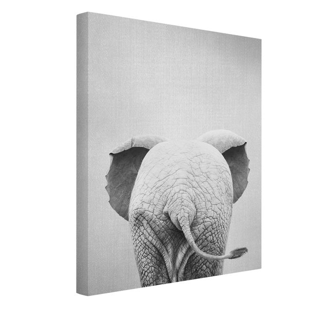 Lienzos blanco y negro Baby Elephant From Behind Black And White