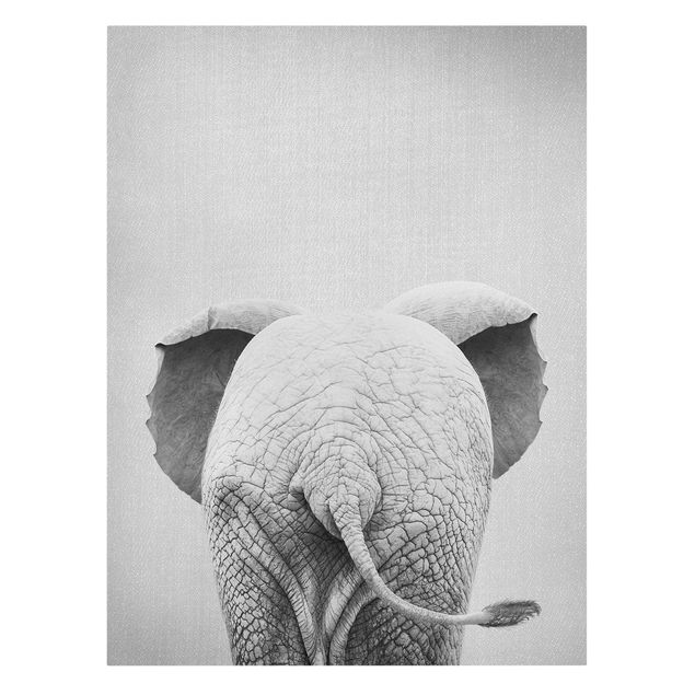 Lienzos animales Baby Elephant From Behind Black And White
