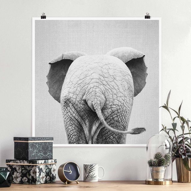 Cuadros de elefantes Baby Elephant From Behind Black And White