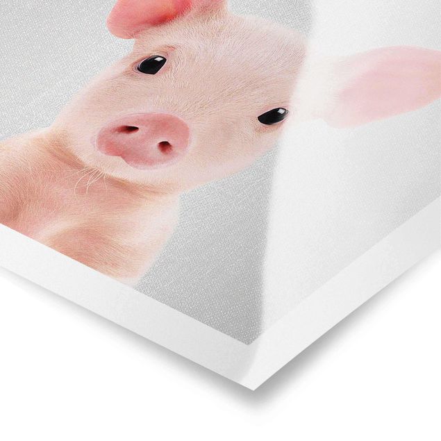 Cuadros de Gal Design Baby Piglet Fips