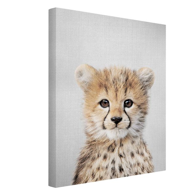 Lienzos animal Baby Cheetah Gino