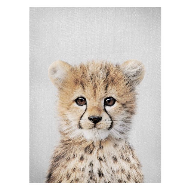 Cuadros modernos y elegantes Baby Cheetah Gino