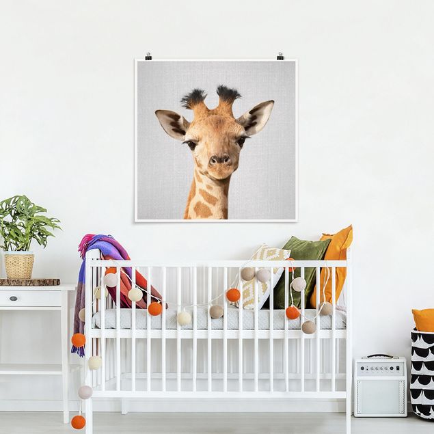 Cuadros de jirafas Baby Giraffe Gandalf