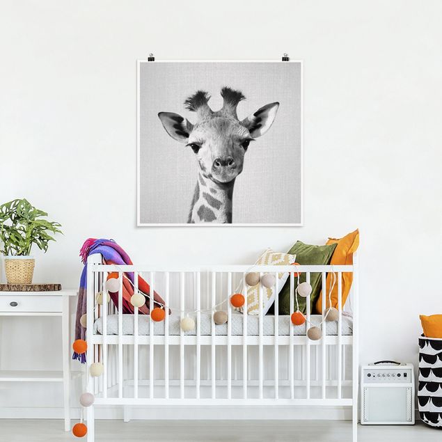 Cuadros de jirafas Baby Giraffe Gandalf Black And White