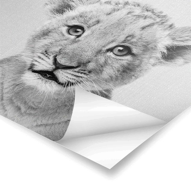 Cuadros de Gal Design Baby Lion Luca Black And White