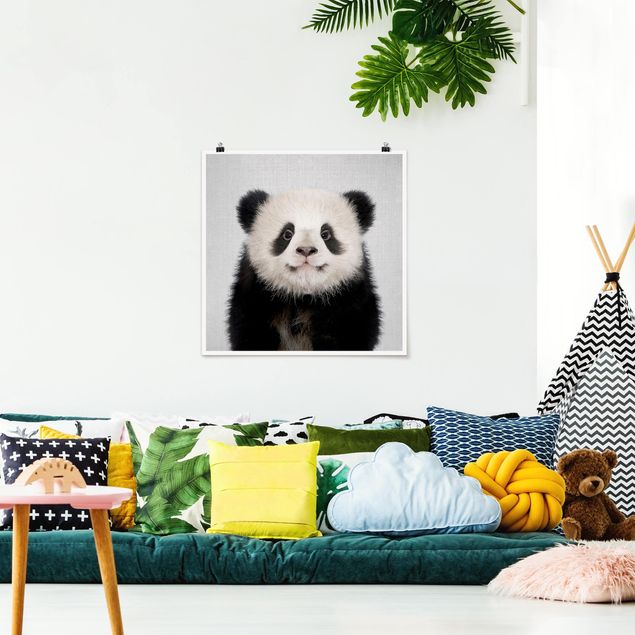 Cuadros panda Baby Panda Prian