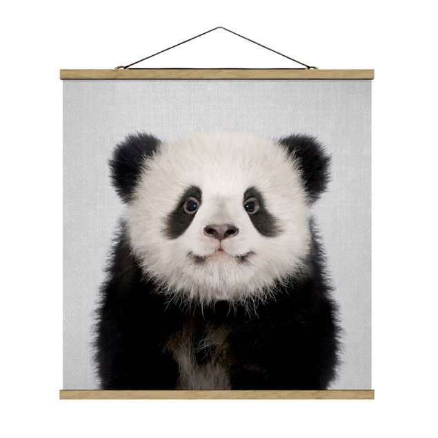Póster de animales Baby Panda Prian