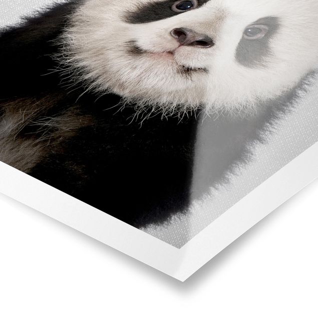 Cuadros modernos blanco y negro Baby Panda Prian