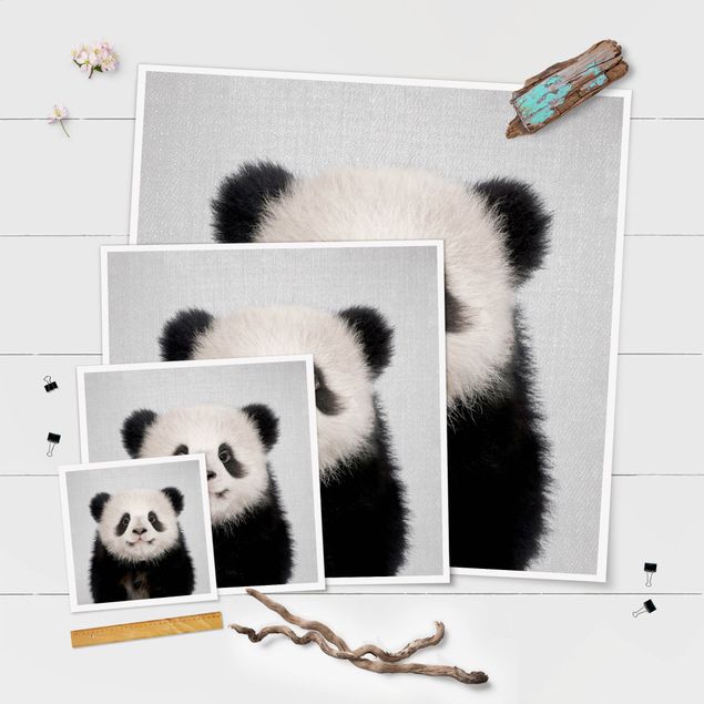 Cuadros decorativos Baby Panda Prian