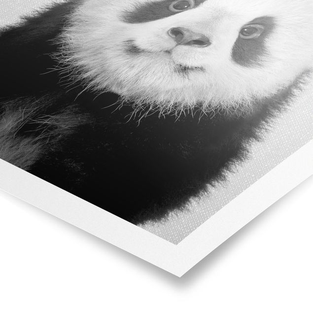 Cuadros modernos Baby Panda Prian Black And White