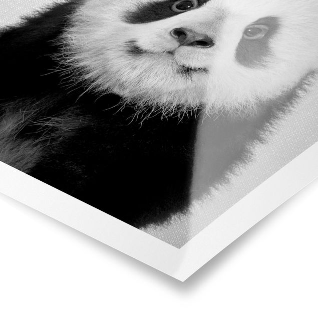 Cuadros a blanco y negro Baby Panda Prian Black And White