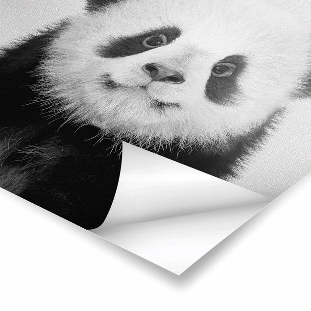 Cuadros de Gal Design Baby Panda Prian Black And White