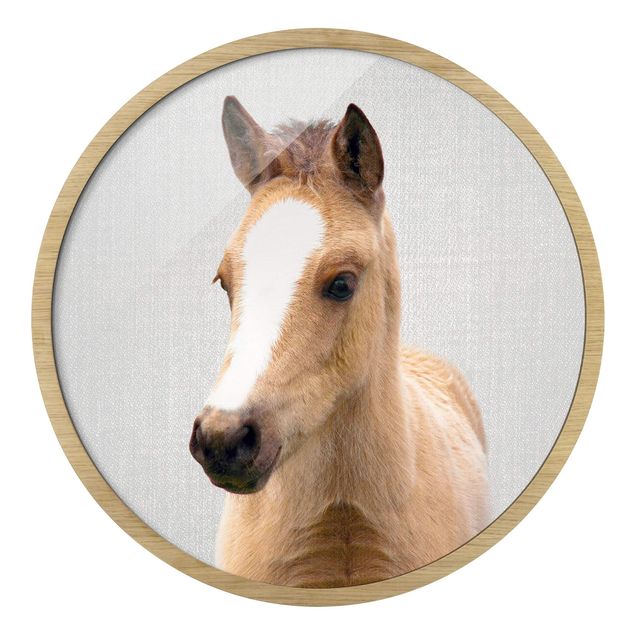 Cuadros redondos Baby Horse Philipp