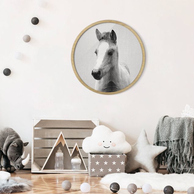 Pósters enmarcados de animales Baby Horse Philipp Black And White