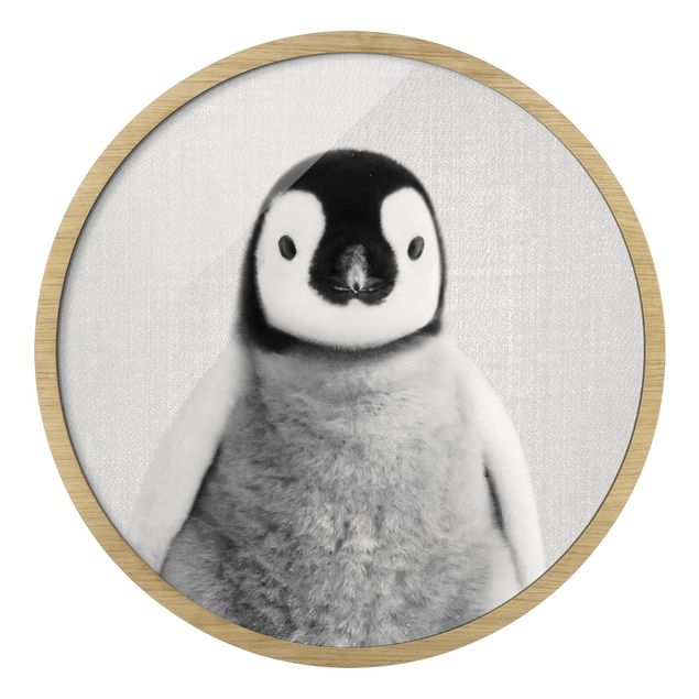 Cuadros a blanco y negro Baby Penguin Pepe Black And White