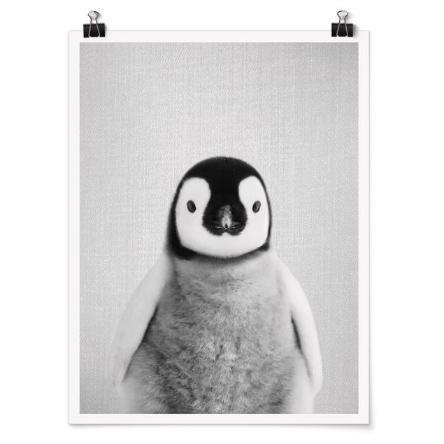 Cuadros decorativos modernos Baby Penguin Pepe Black And White