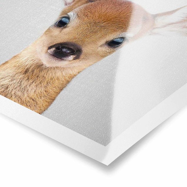 Cuadros de Gal Design Baby Roe Deer Romy