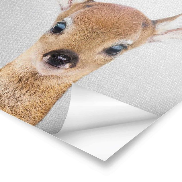 Cuadros Baby Roe Deer Romy