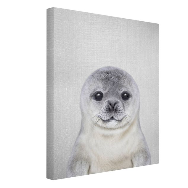 Lienzos de animales Baby Seal Ronny