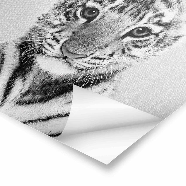 Cuadros de Gal Design Baby Tiger Thor Black And White