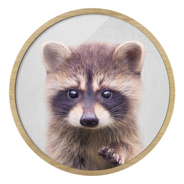 Cuadros redondos modernos Baby Raccoon Wicky