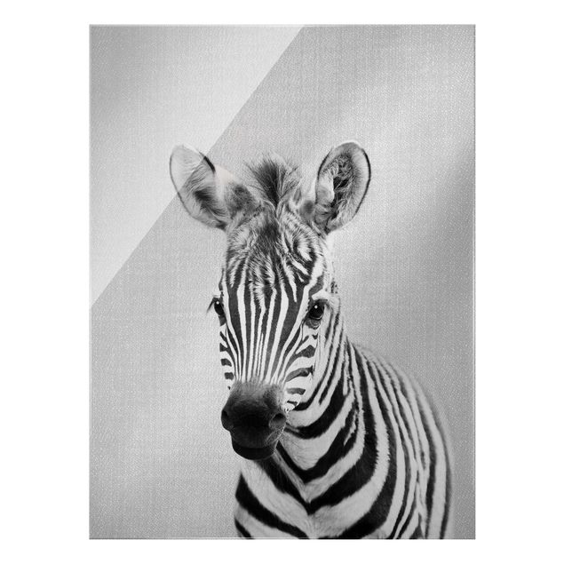 Cuadros modernos y elegantes Baby Zebra Zoey Black And White