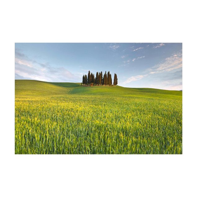 Alfombra natural Green Field In Tuscany