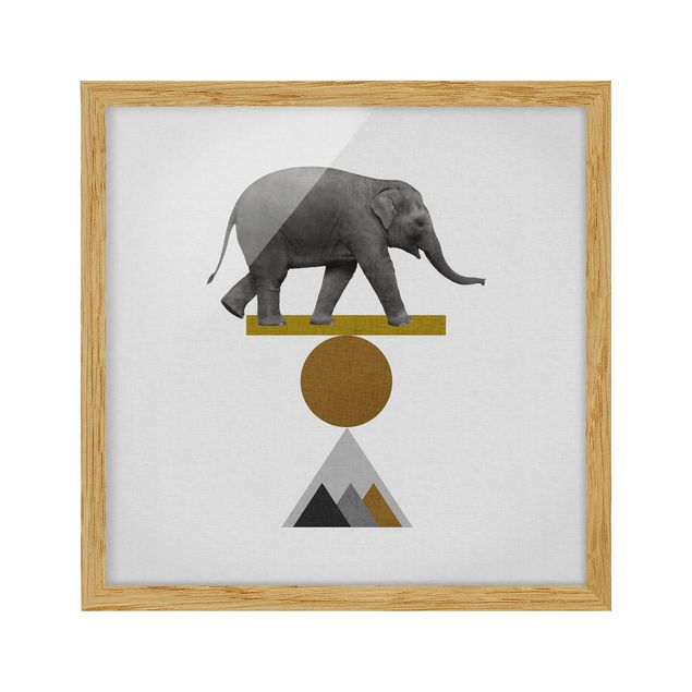 Cuadros modernos y elegantes Art Of Balance Elephant