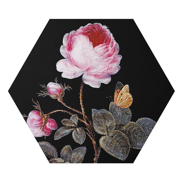 Cuadros plantas Barbara Regina Dietzsch - The Hundred-Petalled Rose