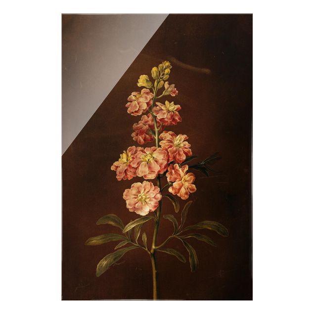 Cuadros de plantas Barbara Regina Dietzsch - A Light Pink Gillyflower