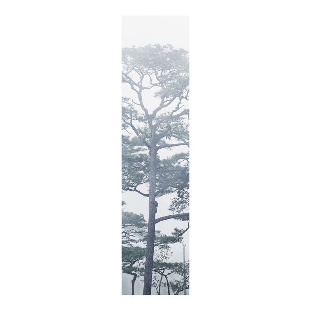 Paneles japoneses paisajes Treetops In Fog