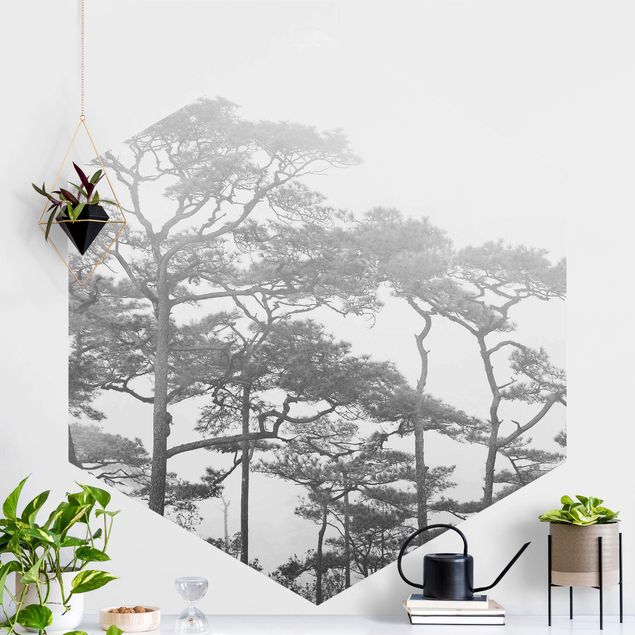 Decoración cocina Treetops In Fog Black And White