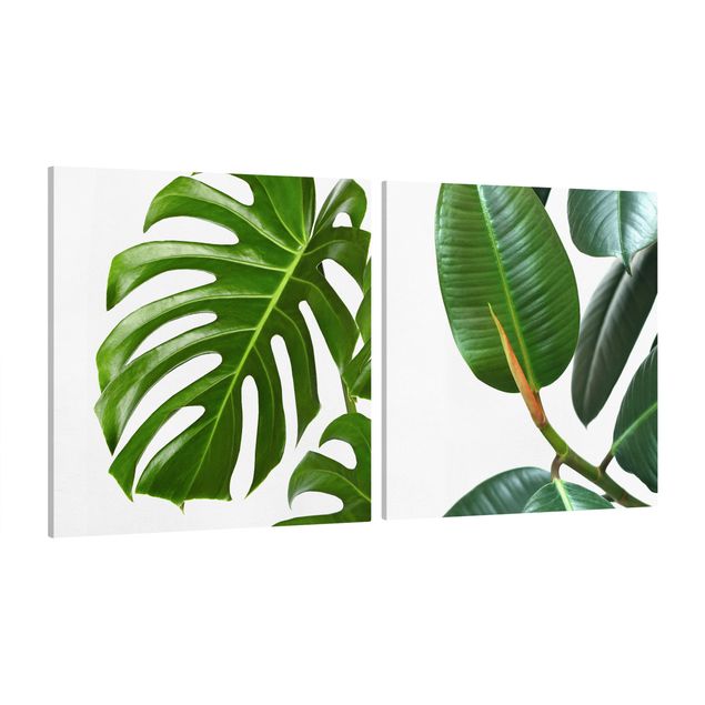 Cuadros flores Monstera And Rubber Tree