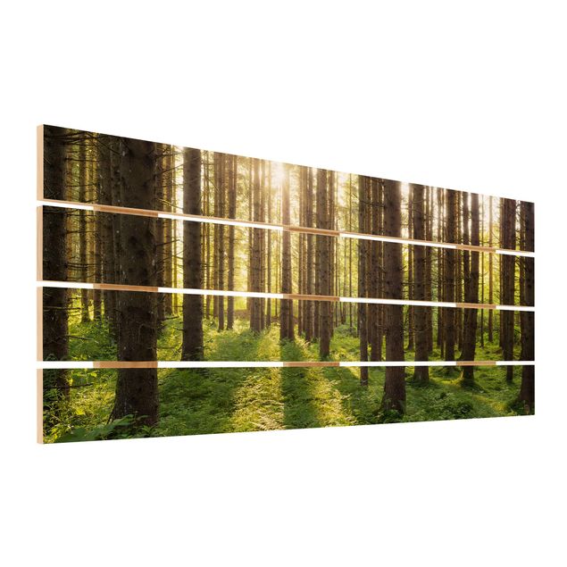 cuadros de madera decorativos Sun Rays In Green Forest