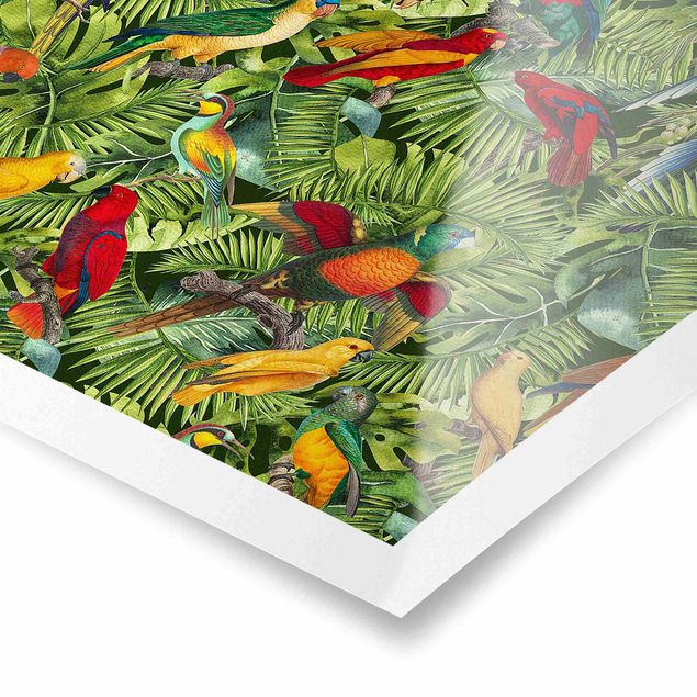 Cuadro multicolor Colourful Collage - Parrots In The Jungle