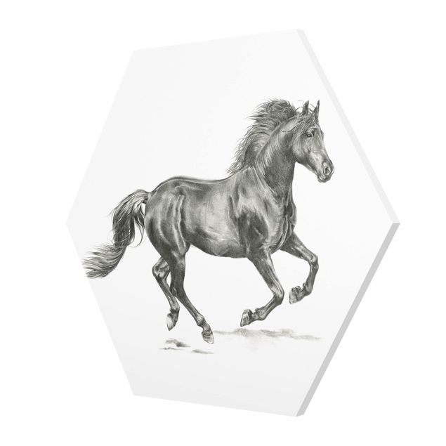 Cuadros decorativos Wild Horse Trial - Stallion
